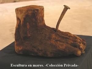 Curriculum